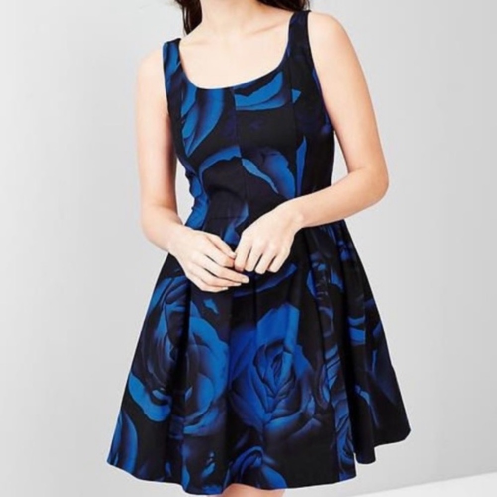 Black & Blue Floral Fit-and-Flare Dress